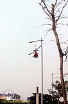5-2-8-DSC-0002-640-480.jpg 5-2-8-DSC-0002-640-480.jpg